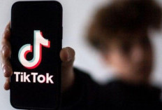 FYP TikTok Hari Ini Selasa 27 Februari 2024! Catat Jadwal Posting Dijamin Langsung Viral dan Trending!