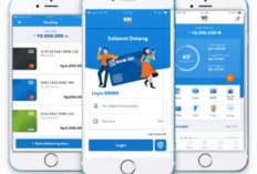 Cara Cek Status Pinjaman BRI Paling Mudah, Ketahui Sisa Ansuran Agar Tak Kelupaan