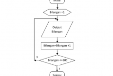 Bisakah Membuat Flowchart di Canva? Ternyata Caranya Simpel Bisa Langsung Praktek!