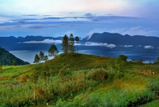 Usalan Pemekaran Kabupaten Agam Tuo Sumbar, Bakal Jadi Daerah Padat Penduduk