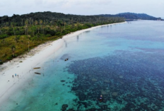Lirik Lagu Daerah Segantang Lada, Milik Makna Mendalam Tentang Kejayaan Riau di Masa Silam