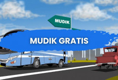 Link Daftar Mudik Gratis BRI 2024 Terbaru, Apakah Terbuka Untuk Umum Tidak Harus Karyawan BRI