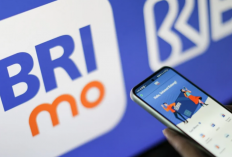 BRImo Gagal Memuat Saldo? Tak Usah Panik! Begini Cara Jitu Mengatasi Error m-Banking 