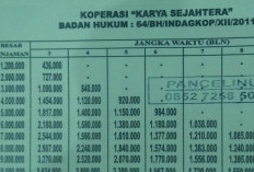 Rekomendasi Pinjaman Mingguan Koperasi Terdekat Lengkap Dengan Cara Pinjam dan Syaratnya Yang Wajib Dipenuhi
