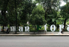 7 Alasan Harus ke Taman Flora, Akses Mudah dan Edukasi Kesadaran Lingkungan yang Bagus!