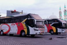 Rekomendasi Bus & Travel Medan Bukittinggi PP, Armada Terbaik dan Harga Dijamin Murah