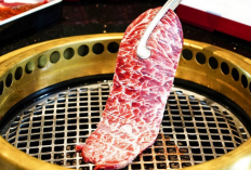 Cara Makan dan Booking di Hachi Grill Alam Sutera, Nikmati Kuliner Jepang Favorit Bersama yang Tercinta