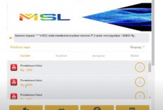 Aplikasi MSL Apakah Terbukti Membayar? Kupas Lengkap Korban Penipuan dari Skema Ponzi Ini! 