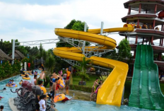 Jam Operasional & Harga Tiket Masuk Kolam Renang Taman Sentosa Cikarang Terbaru 2023, Cocok Untuk Liburan Bareng Keluarga