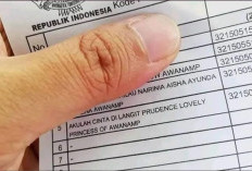 Cara Mudah Cek Nomor KK dan KTP Secara Online Terbaru 2024, Bisa Juga Melalui Whastapp!