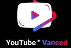 UPDATE! Daftar Youtube Tanpa Iklan APK Terbaru 2024 Gratis Tanpa Registrasi, Download Sekarang Juga!