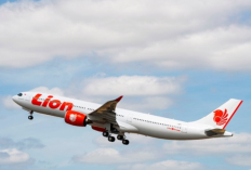Cara Cetak Tiket Lion Air Sendiri Online dengan Mudah dan Praktis, Perjalanan Jadi Makin Lancar