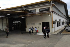 Lowongan Kerja PT Gelindo Garmentama Terbaru Februari 2024, Dibuka Besar-besaran Tahun Ini!
