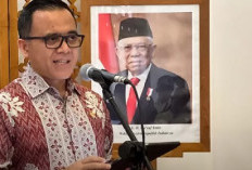 Isi PP Turunan UU ASN 2023 yang Ramai Diperbincagkan, Jadi Angin Segar Masa Depan Tenaga Honorer!