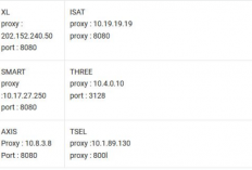 Download Config HC Telkomsel OPOK Http Custom 2024, Cara Mudah Buat Dapat Internet Gratis!