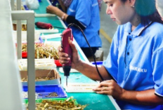 PT Shukaku Indonesia Penipuan Loker Atau Tidak? Hati-Hati Akun Palsu! Ini Dia Review Jujur Perusahannya