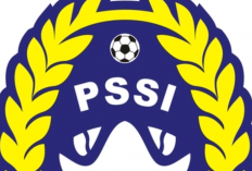 Struktur Organisasi PSSI, Induk Organisasi Sepak Bola Indonesia