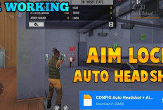 Download Aimbot Zip File Free Fire Terbaru 2024, Auto Headshot! No recoil + Regedit Unduh Sekarang