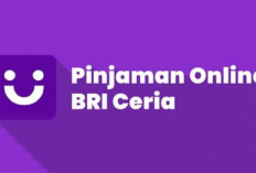 Easy Parah! Ini Dia Caranya Lakukan Pinjaman Online di Aplikasi CERIA BRI, Gak Perlu Lama Lama Pasti Langsung Cair