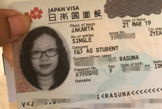 Contoh Surat Keterangan Sekolah Untuk Visa Jepang yang Baik dan Benar