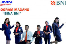Lowongan Kerja Program Magang Bina BNI Wilayah Medan Buat Fresh Graduate SMA-S1 Berkesempatan Jadi Pegawai Tetap