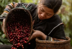 Event Wonosobo Maret 2023, Berwisata Sembari Kuliner Bersama Orang-Orang Tercinta