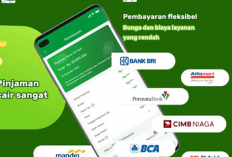 Apakah Pinjol Singa Ada DC Lapangan? Simak Resikonya Kalau Telat Bayar!