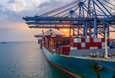 Awas Scam! MK Shipping Com Berkedok Investasi Kargo, 'MAERSK' Asli Beri Klarifikasi