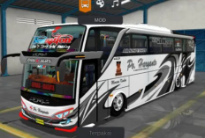 Download MOD Bussid Bus Ceper Versi 2023, Desain Body Hingga Livery Mirip Asli 100%