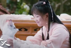 Link Nonton Drama China Dear Mr. Heavenly Fox (2023) Episode 27-28 Sub Indonesia, Intip Sinopsis dan Jadwal Rilis