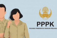 Contoh Soal PPPK P3K Terbaru 2023 Pilihan Ganda Beserta Kunci Jawaban, Auto Lulus Tahap Berikutnya