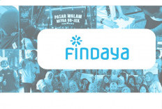 Pinjaman Findaya Apakah Aman dan Tanpa DC? Simak Dulu di Sini Selengkapnya Sebelum Registrasi 
