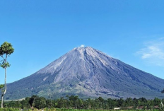 Cerita Misteri yang Hantui Gunung Semeru Ngampo Jawa Timur, Pastikan Kamu Sudah Tahu Pantangannya