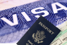 Cara Mendapatkan Surat Sponsor Visa Amerika dengan Mudah Untuk Berbagai Tujuan Acara