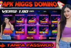 Download Higgs Domino RP V1.87 MOD APK, Tema Cewek Cantik Bikin Jackpot Terus Tanpa Password