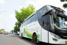 Rekomendasi 7 Bus Jakarta Bandung 24 Jam Lengkap Dengan Tarif Harga Tiket dan Jadwal keberangkatannya, Healing Dulu Kawan