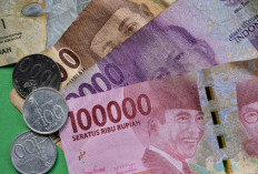 Cara Menggunakan Aplikasi Koin Tunai, Langsung Ikuti Tugasnya Untuk Bawa Pulang Reward Menarik 