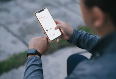 10+ Aplikasi Luar Negeri Penghasil Uang Paling Direkomendasikan 2024 Hasilkan Dollar, Terbukti Cair! Compatible Untuk Android dan iOS