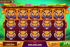 Pola Room Panda Higgs Domino Rabu, 20 Desember 2023 dan Trik Spin Paling Ampuhnya, Menangkan Jackpot Macan Sekandang!