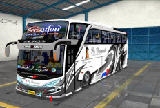 Paling Update! Daftar Livery Bussid Transjakarta Full HD Terbaru 2024, Bikin Tampilan Game Jadi Makin Menawan