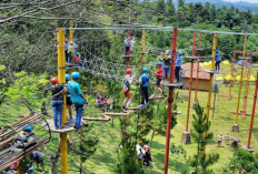 Tips Membuat Susunan Acara Outbound yang Ceria dan Meriah, Buat Anggota Makin Bahagia!