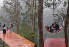 Harga Tiket Masuk Pineus Forest View Garut-Tasikmalaya Terbaru 2023, Spot Foto Instagramable dengan Pemandangan Alam