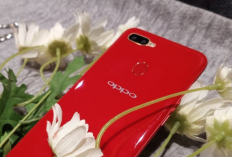 Cara Melakukan Hard Reset OPPO A5s dengan Mudah, Praktis, dan Aman