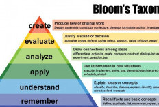 Mengenal Level Kognitif Taksonomi Bloom: Klasifikasi C1 Sampai C6
