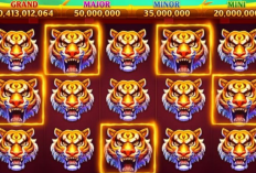 Rahasia! Algoritma Pola Room Panda Higgs Domino, Gacor Banget Buat Dapat Jackpot Full Macan