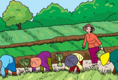 Kumpulan Gambar Manusia dengan Alam Sekitarnya, Pemandangan Pegunungan dan Sawah yang Indah