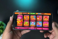 Apakah Game Higgs Domino Resmi Ditutup? Para Bandar Dan Player Yang Hobi Spin Siap-siap Gigit Jari