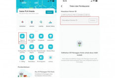 Cara Mudah Cek Token Listrik yang Hilang Terbaru 2024, Jangan Panik! Simak dan Ikuti Langkahnya Berikut