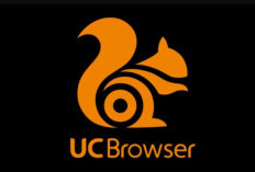 Penyebab UC Browser Tidak Bisa Memutar Video, Jangan Langsung Uninstal: Lakukan Hal Ini 