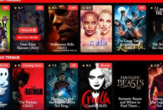 Penyebab Situs IDLIX Error Tidak Bisa Dibuka, Ini Dia Cara Mengatasinya Hanya dalam Hitungan Detik